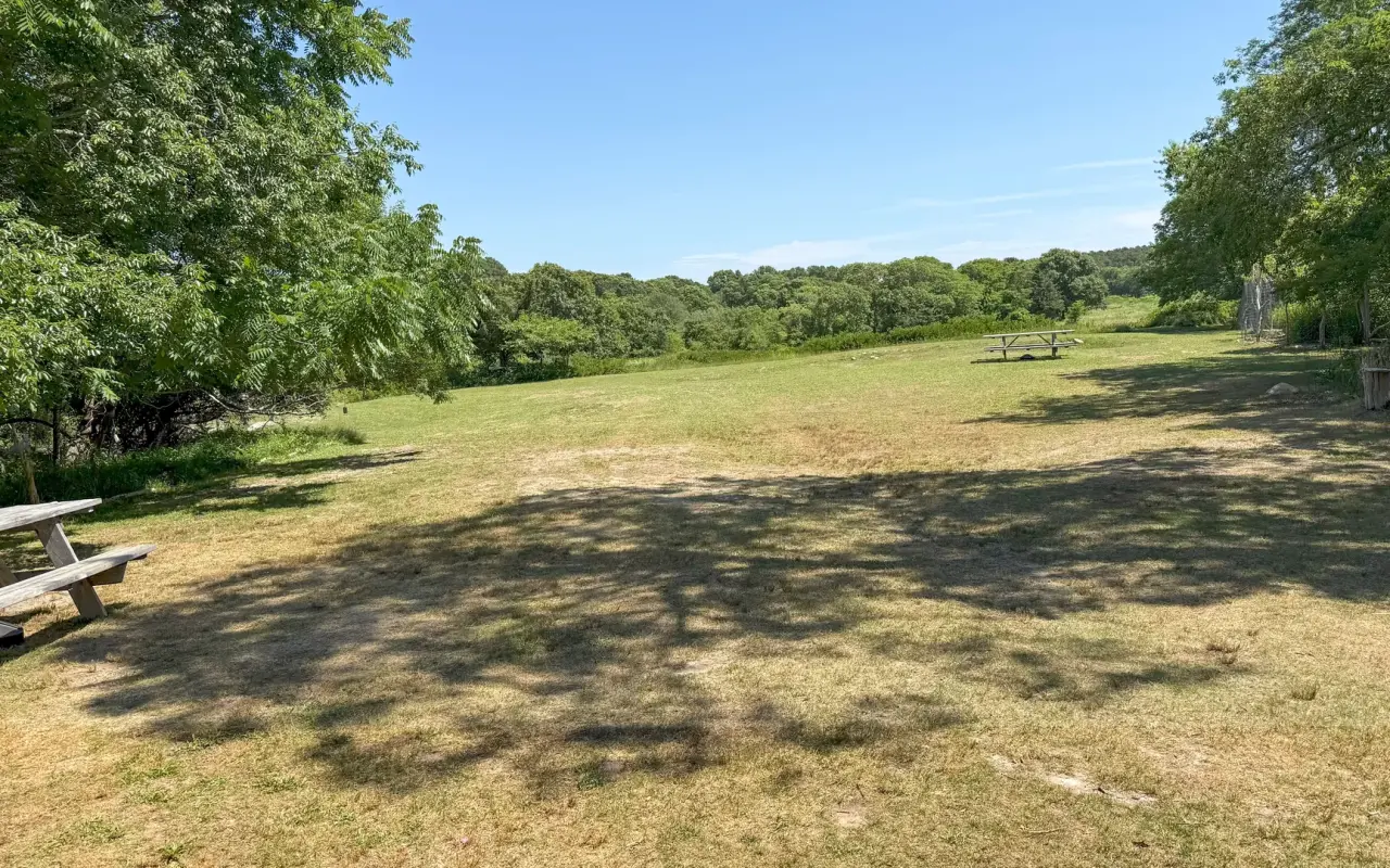 Open picnic field at the heart of Felix Neck Wildlife Sanctuary