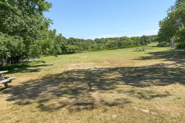 Picnic field at the heart of the sanctuary