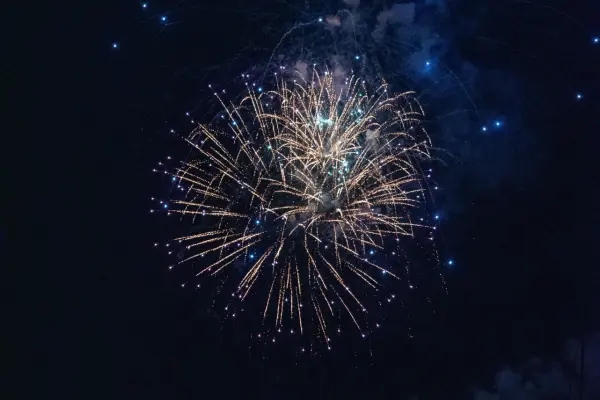 Gold-and-blue fireworks reflected on Edgartown Harbor, 2026