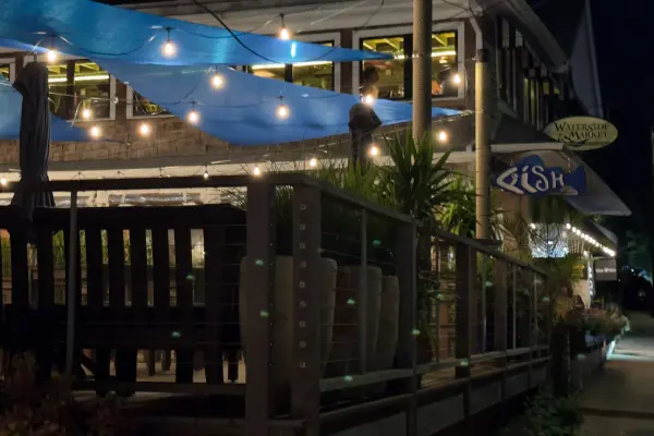 The Fish MV patio under string lights, Waterside Market beyond.
