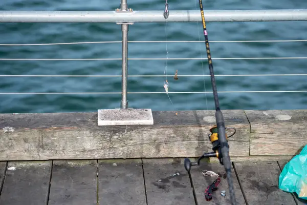 A rod leaned on the rail of the Oak Bluffs pier, rig hanging