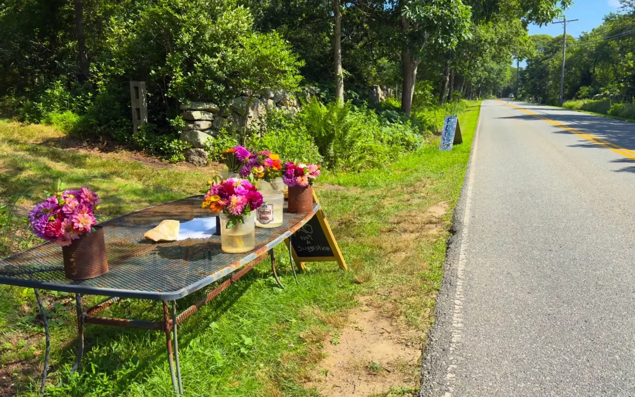 Honor-system flower stand on the roadside near Menemsha