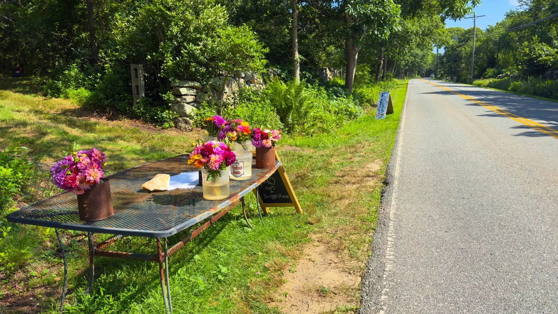 Roadside honor-system flower table on the way into Menemsha