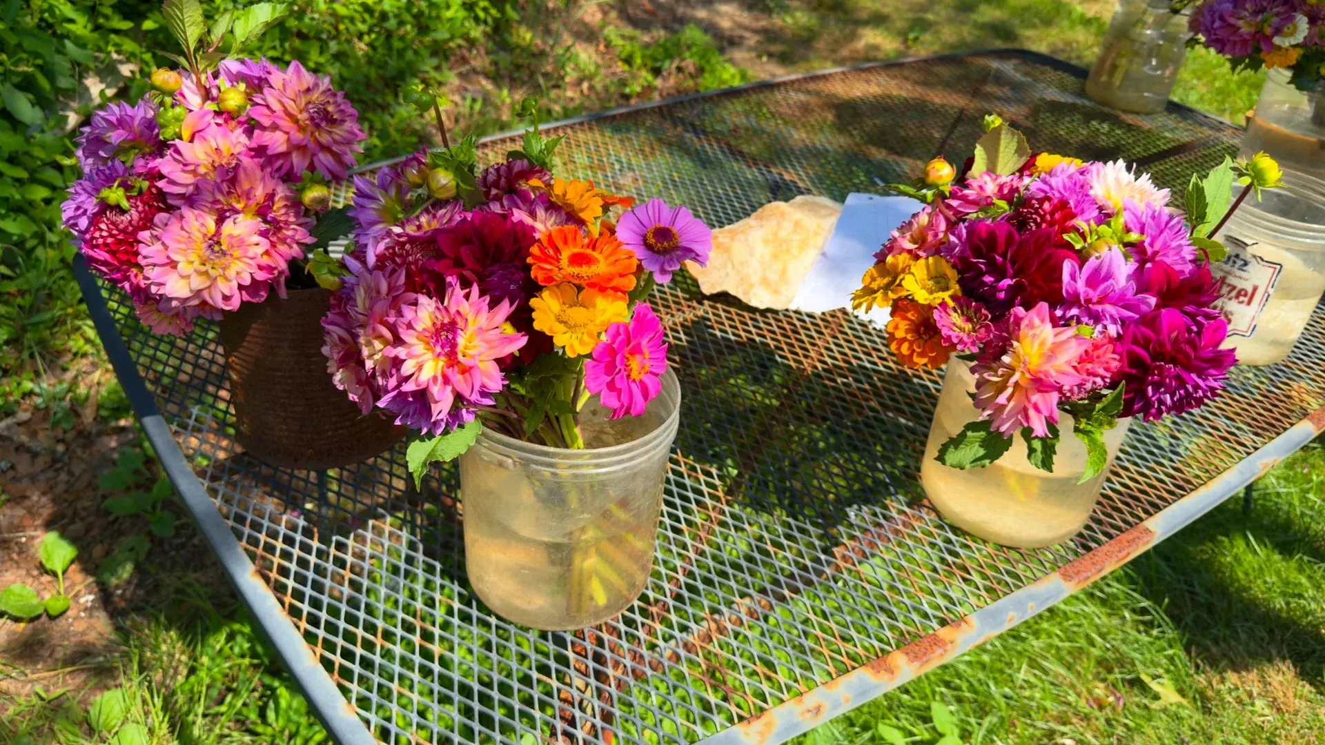 Dahlia bouquets in jars at an honor-system flower stand near Menemsha