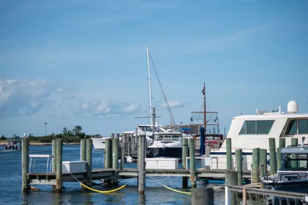 The Oak Bluffs harbor docks in summer.