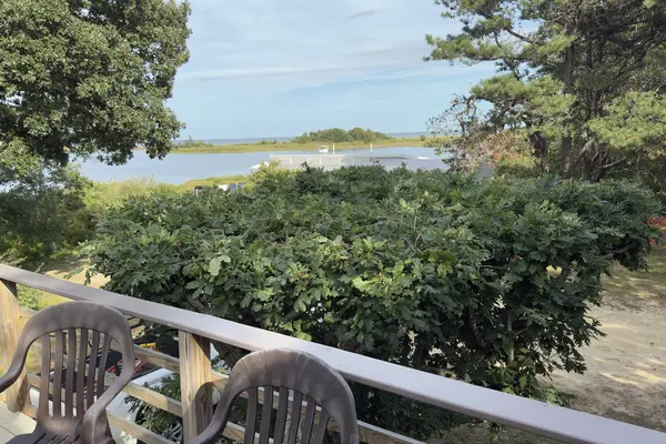 From a deck in Harthaven, Oak Bluffs: chairs, scrub oaks and Nantucket Sound