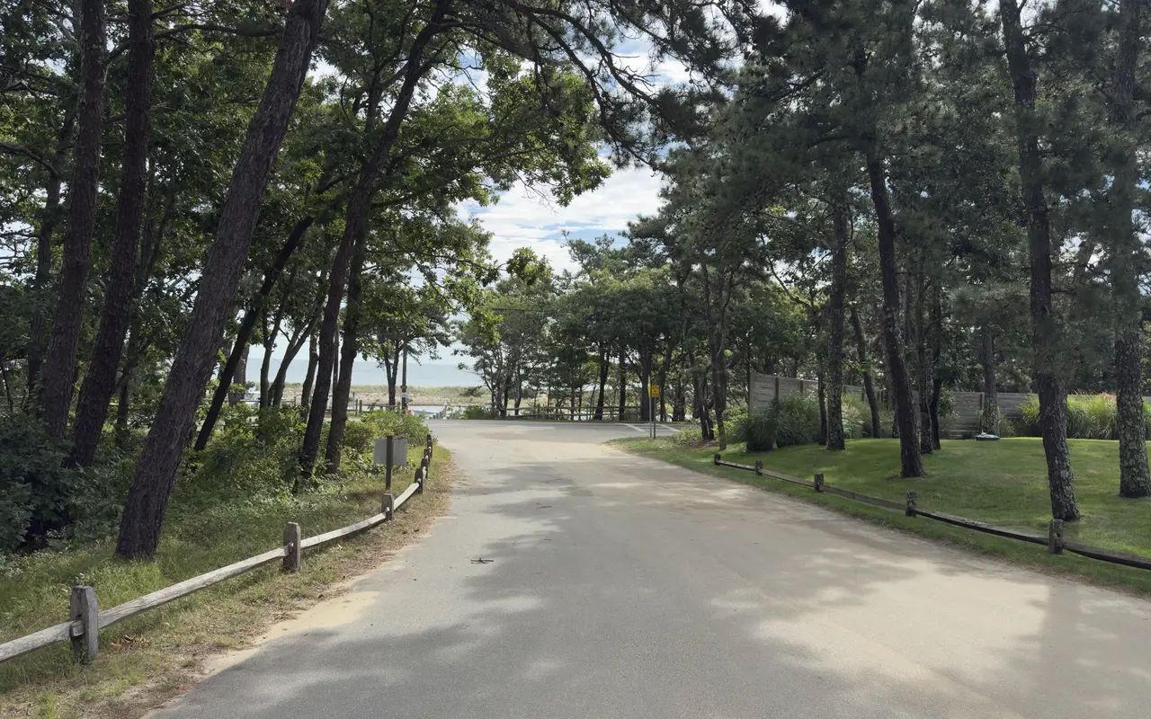 A lane through Harthaven in Oak Bluffs: split-rail fences, pitch pines and the water at the end