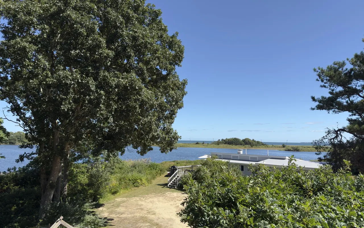 A sandy path between a big oak and low scrub oaks leading down to the water at Harthaven in Oak Bluffs, with a houseboat, a barrier beach and Nantucket Sound beyond