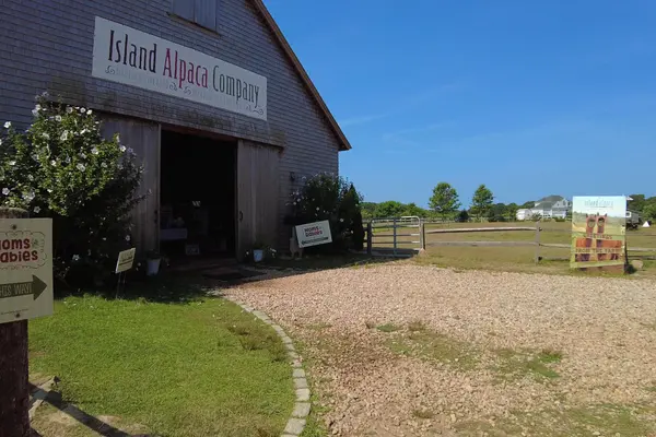 The barn at Island Alpaca Company