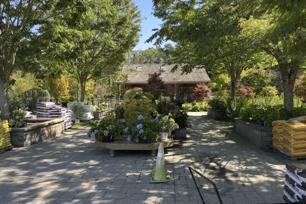 Jardin Mahoney nursery yard, Oak Bluffs, September 2026