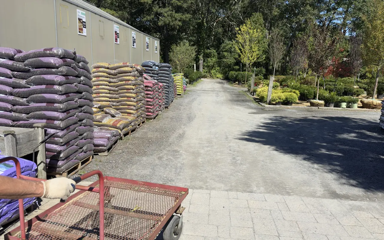 The nursery yard at Jardin Mahoney in Oak Bluffs: pallets of bagged mulch and soil along a shed, a red flatbed cart in front, and rows of potted trees and shrubs under tall oaks