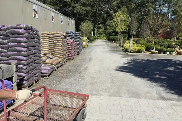 The nursery yard at Jardin Mahoney: pallets of mulch and soil, carts by the door, trees and shrubs under the oaks