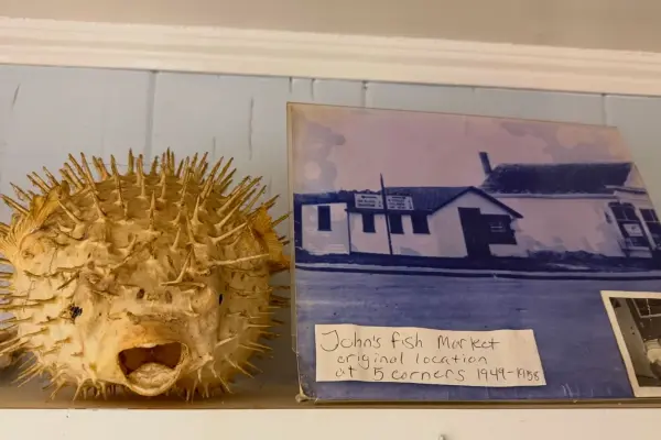 Memorabilia shelves at John's Fish Market, Vineyard Haven