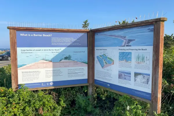 The barrier beach interpretive panels at Joseph A. Sylvia State Beach.