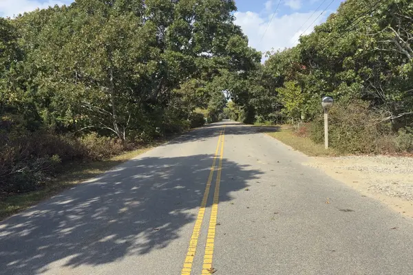 Edgartown Bay Road in Katama, lined with oaks