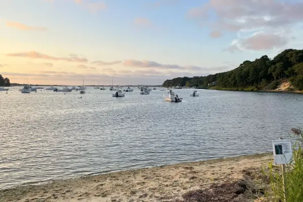 Boats moored at Lake Tashmoo at dusk