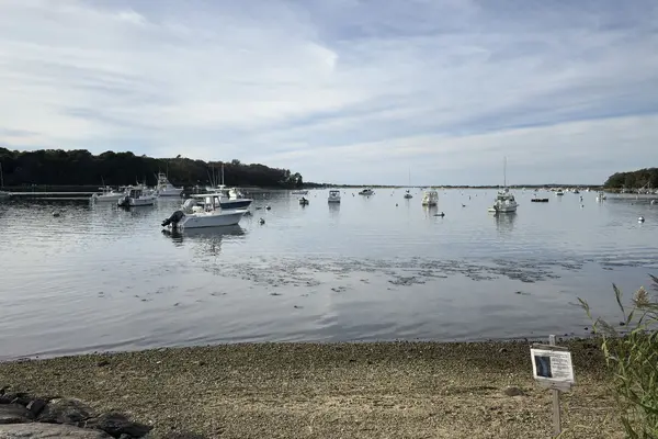 The mooring field off the Lake Street landing on a still afternoon