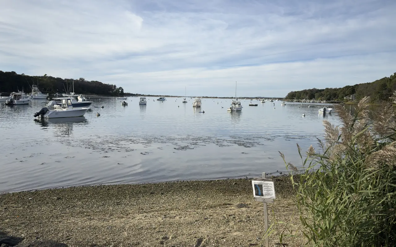 Calm Lake Tashmoo with moored boats, a pebble beach, a posted sign and reeds in the foreground