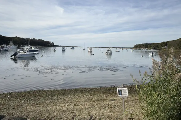 The shellfish notice on the beach, May 15 to October 31