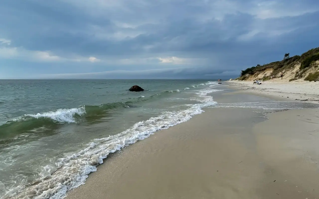 The crescent shoreline at Lambert’s Cove Beach under an overcast sky