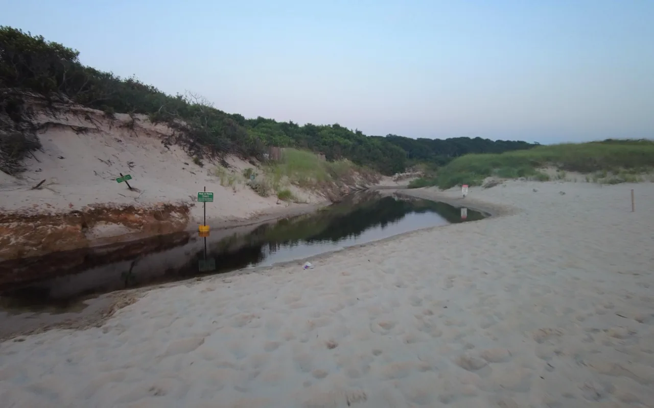 A dark creek curving between sand dunes and a sandy bluff with beach grass at dusk