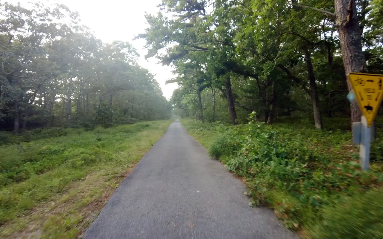 Cycling through Manuel F. Correllus State Forest