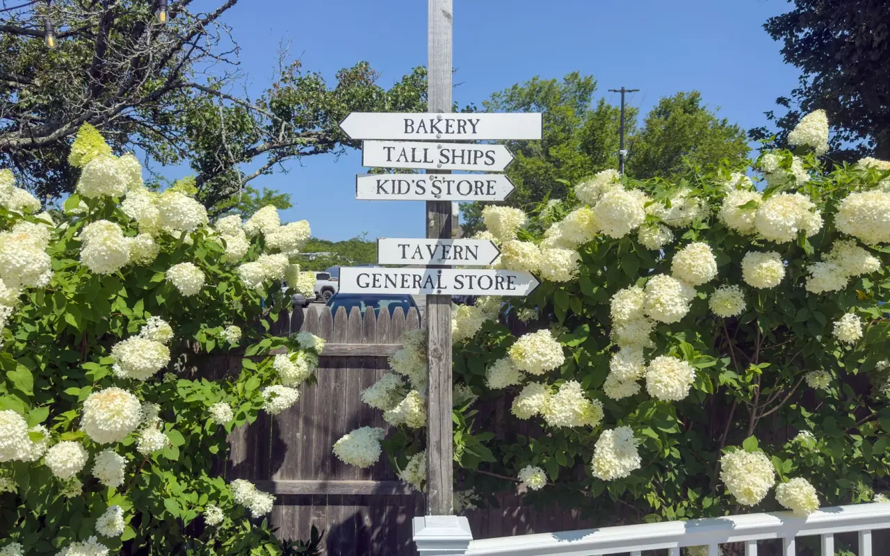 Signpost surrounded by hydrangeas at the Black Dog in Vineyard Haven