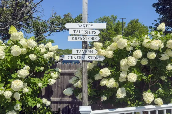 Signpost in the hydrangeas pointing to the bakery, tavern and general store at the Black Dog