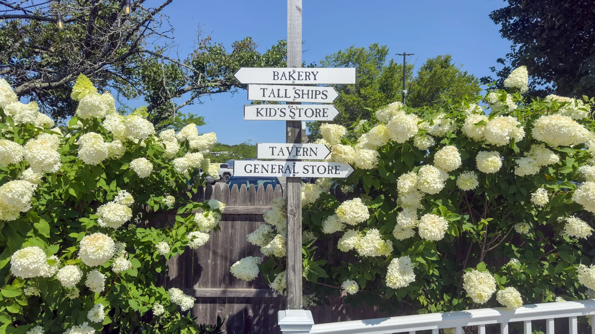 Signpost in the hydrangeas pointing to the bakery, tavern and general store at the Black Dog