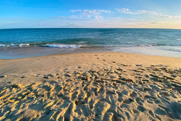 Martha's Vineyard beach