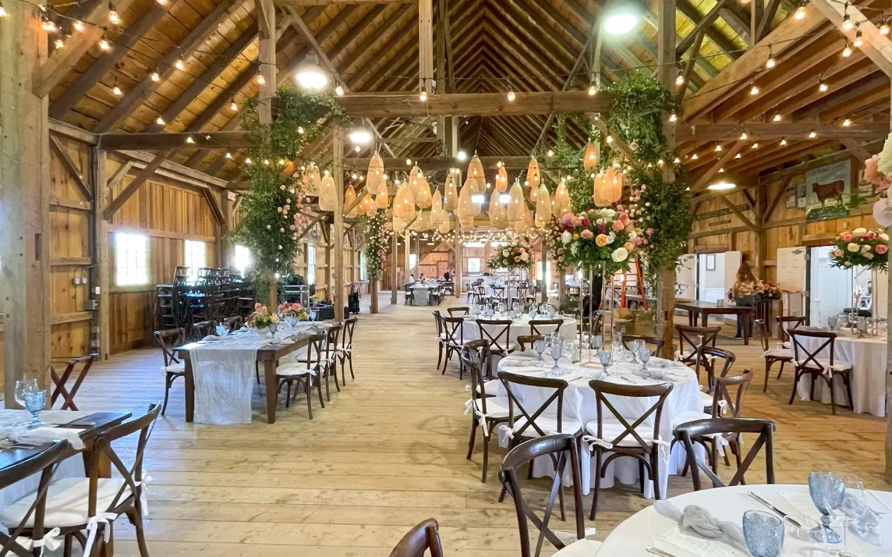A barn wedding reception set with long tables, wooden chairs and greenery hanging from the rafters