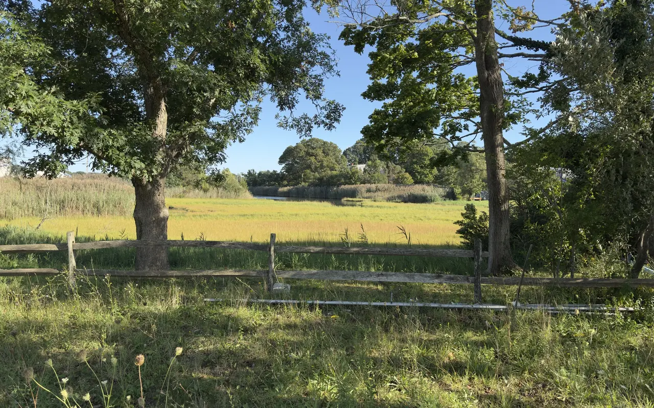 A fenced meadow and marsh under oak trees at the edge of Veterans Memorial Park in Vineyard Haven