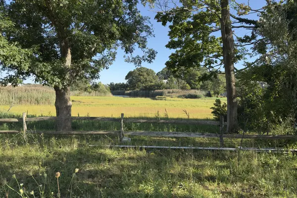 The meadow and marsh at the head of Lagoon Pond beside the Veterans Memorial Park lot