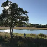 Martha's Vineyard in the Fall (2026): What Closes, What Opens Up and What Gets Easy