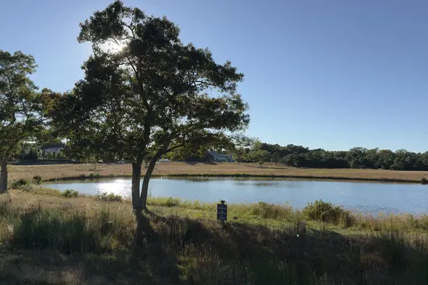 Martha's Vineyard in the Fall (2026): What Closes, What Opens Up and What Gets Easy