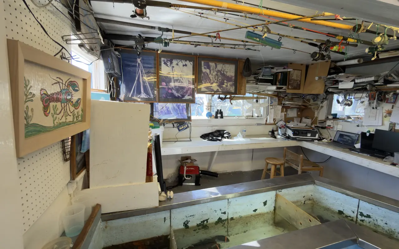 Interior of Menemsha Fish Market with seawater tanks in front, fishing rods hung across the ceiling, framed fishing photos and a long counter by the windows