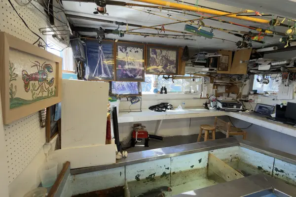Inside Menemsha Fish Market