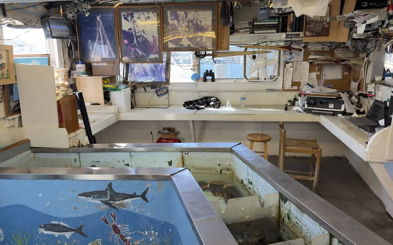 Seawater tank painted blue with a shark, fish and a red lobster, and a second tank holding live crabs, inside Menemsha Fish Market