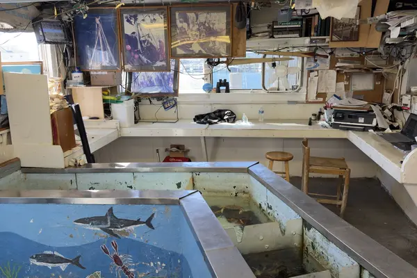 The painted lobster tank at Menemsha Fish Market