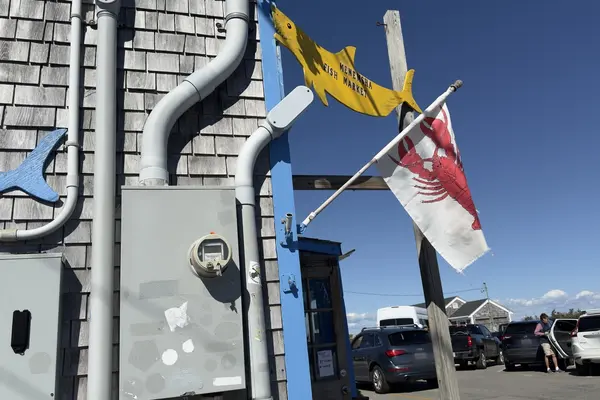Menemsha Fish Market sign and lobster flag