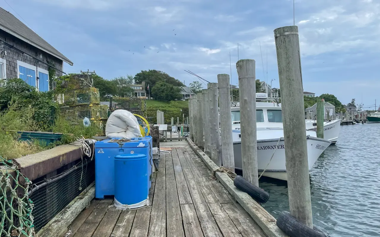 Wooden dock in Menemsha harbor with pilings, blue barrels and a boat tied up