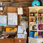 Martha's Vineyard Farms and Farm Stands: The Honor-System Trail, Town by Town (2026)