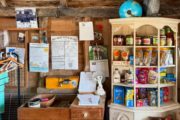 Martha's Vineyard Farms and Farm Stands: The Honor-System Trail, Town by Town (2026)