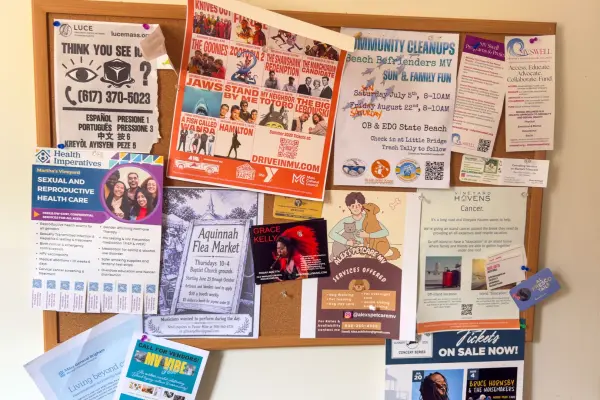 The notice board at Mo's Lunch: film series, beach cleanups and pet care cards.
