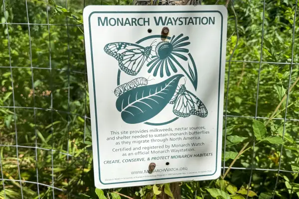 Certified Monarch Waystation along the trail