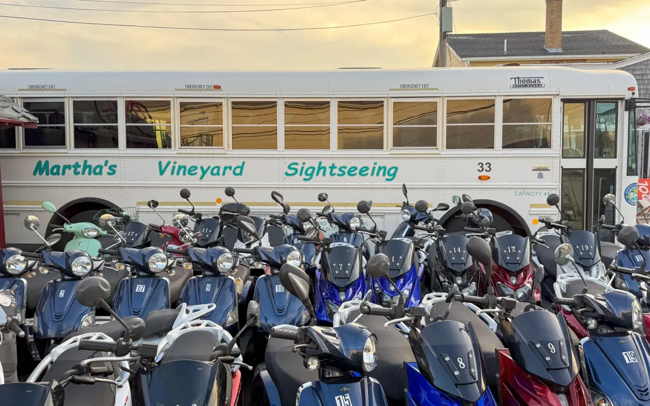 Rental mopeds lined up outside a shop in Oak Bluffs