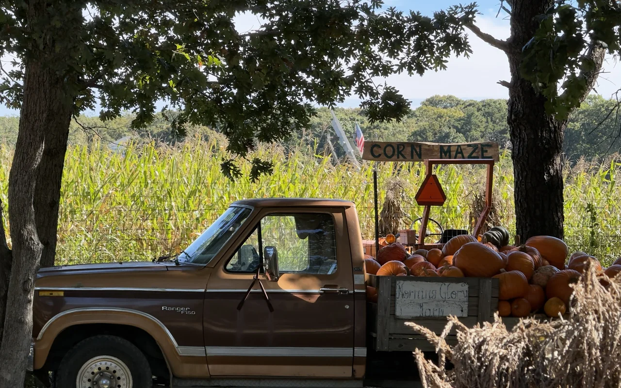 A vintage brown pickup truck with a bed full of pumpkins and a Morning Glory Farm board on the side, a wooden Corn Maze sign over a tall cornfield