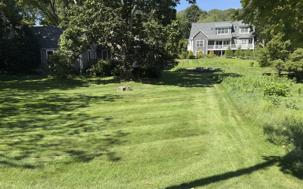 A freshly mown lawn with mower stripes sloping down from two grey-shingled houses in Vineyard Haven, a big old tree in the middle, a boulder on the grass and a wild edge of shrubs on the right under a blue September sky