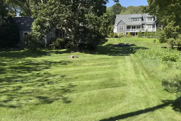 A striped, freshly mown lawn between shingled houses under a big tree