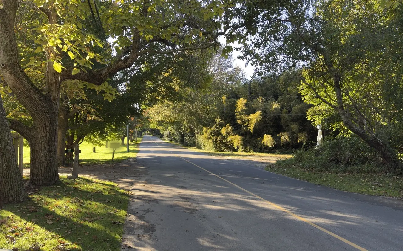 Music Street in West Tisbury in afternoon light, big trees over a wide lawn on the left and a quiet road ahead